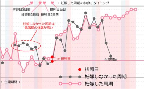 妊娠 初期 仲良し